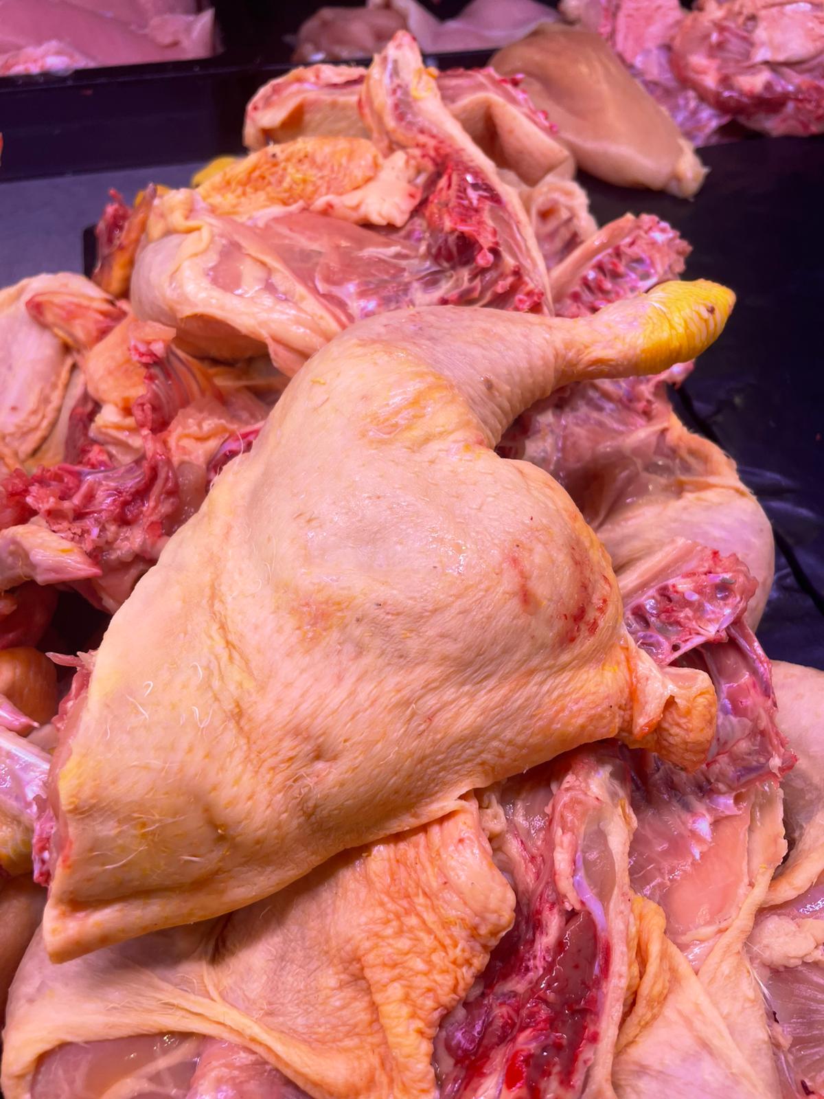 Coscia di pollo