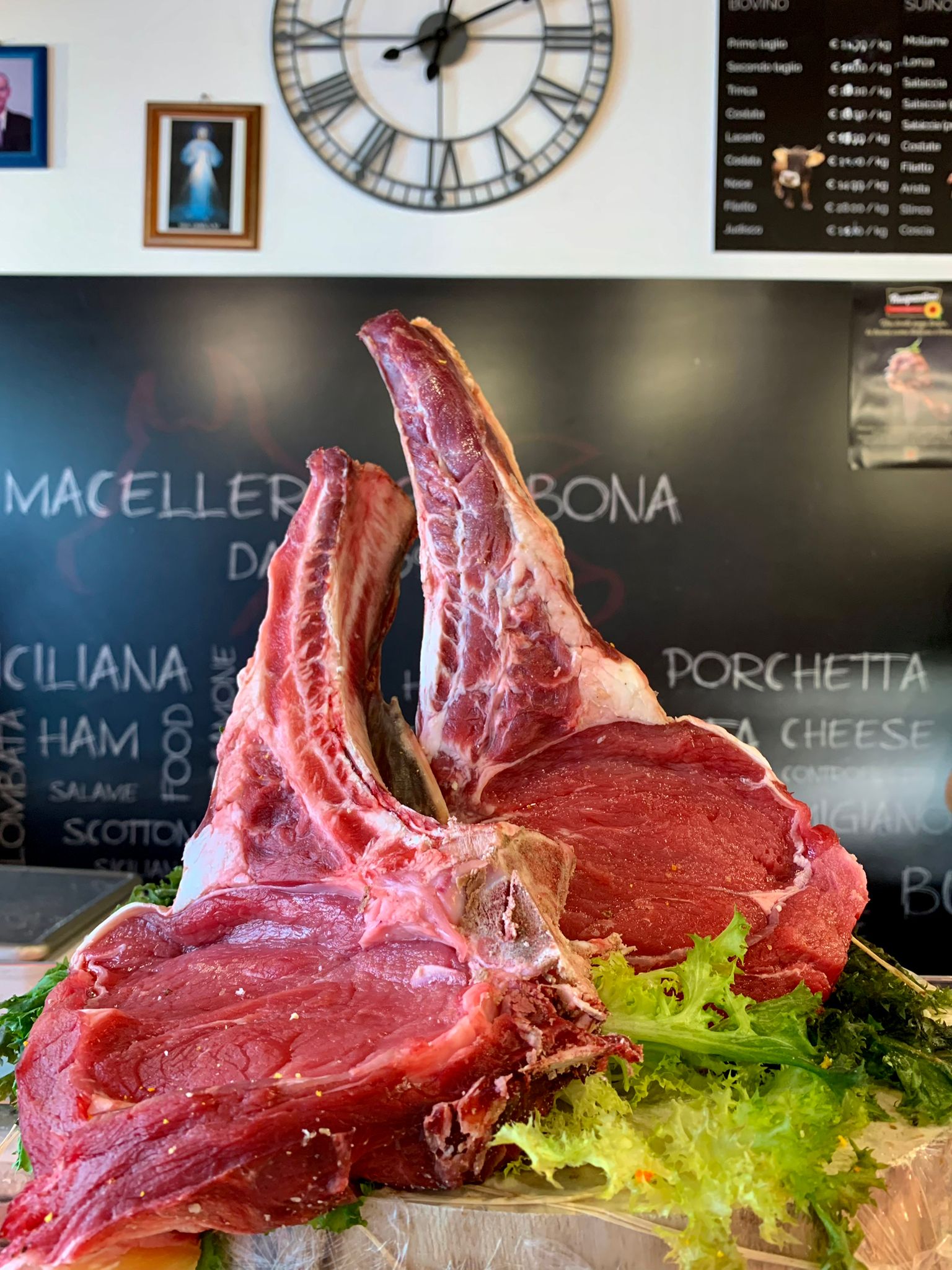 Fiorentina di Scottona